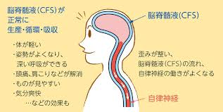 頭蓋骨矯正 小顔矯正 豊中 豊中の整体 はまざわ整骨院 自律神経失調症や更年期障害が得意